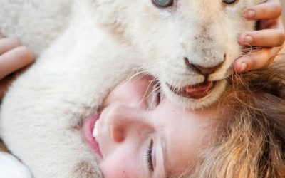Buyers pounce on Studiocanal’s ‘Mia And The White Lion’