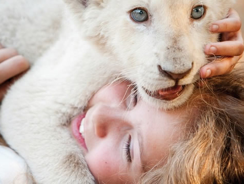 Buyers pounce on Studiocanal’s ‘Mia And The White Lion’